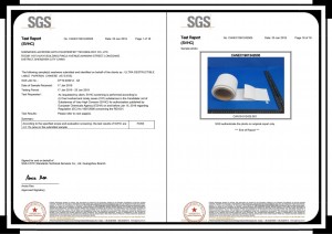 របាយការណ៍ REACH197 SGS